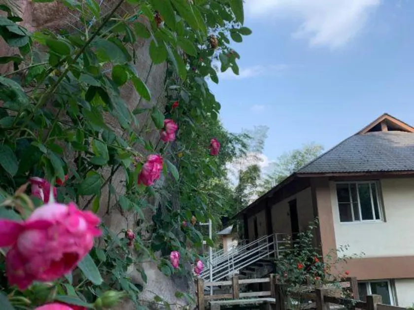 Qingfeng Gorge Resort Hotel - Image 1