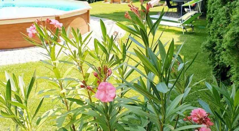 Rádi Apartman Balatonföldvár - Image 1