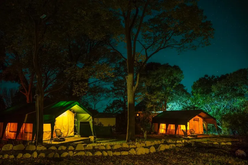 H2H Bir l Nature Camps - Image 1