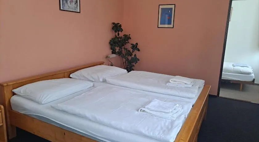 Hotel Praděd - Image 1