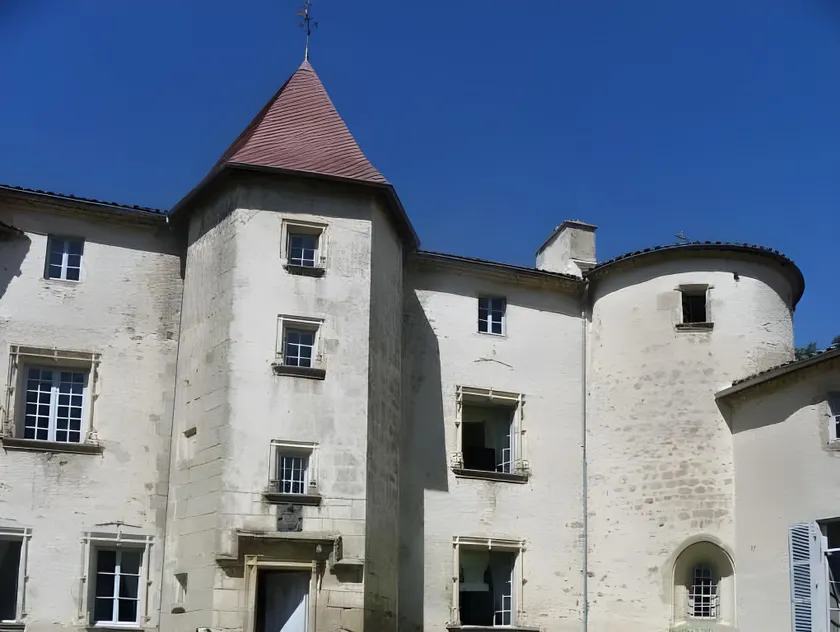 Château des Martinanches - Image 1