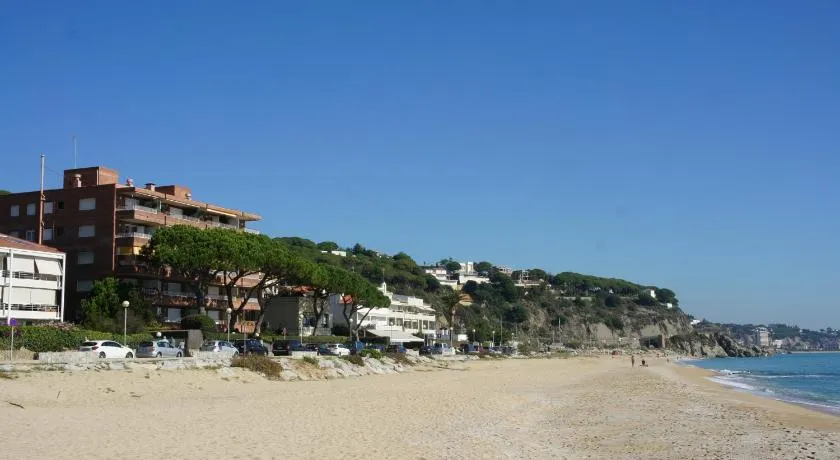 Musclera - Image 1