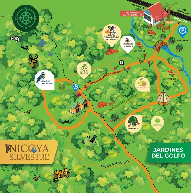 Nicoya Silvestre - Image 1