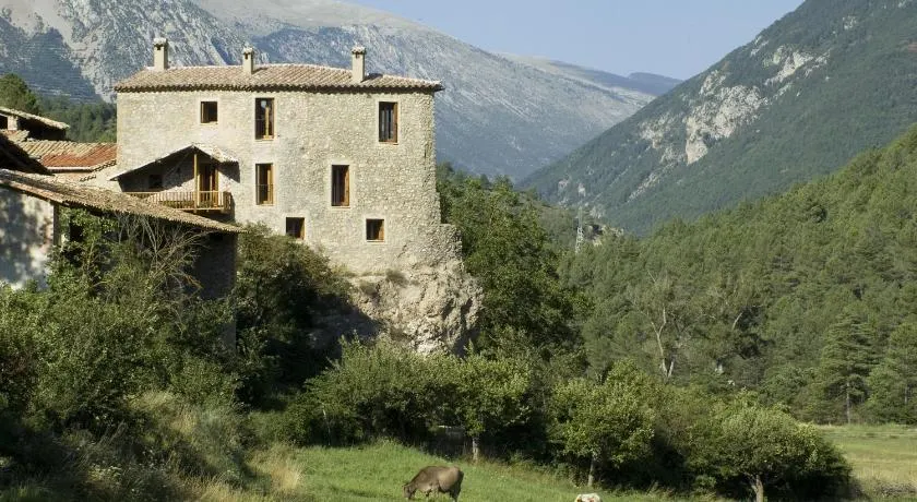 Cal Pallerola - Image 1