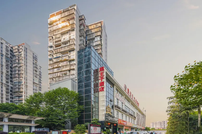 Yazhu Black Prince Art Hotel (Luzhou Longmatan District Government Branch) - Image 1