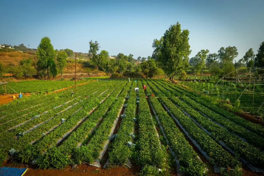 ROOMA Resedency Mahableshwar - Image 1