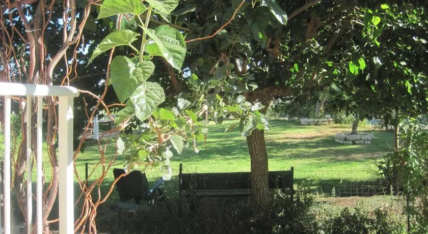 The House By The Mulberry Tree - Image 1