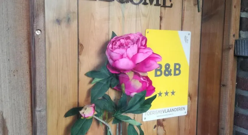 La Rose - Image 1