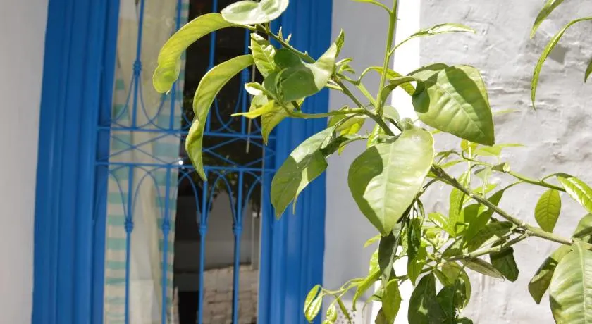 La Chambre Verte - Image 1