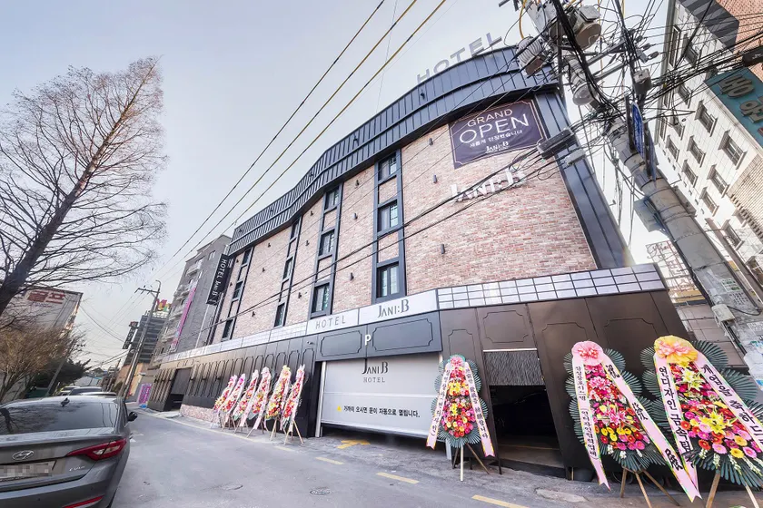 Jani B Hotel Seryu Station - Image 1