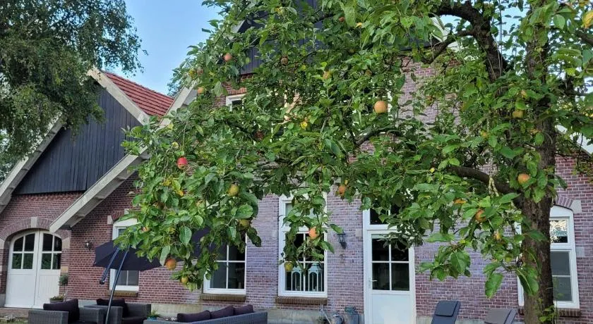 Landhuis onder de lindeboom - Image 1