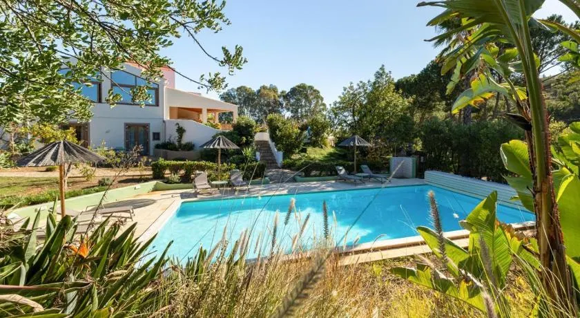 Casa do Palmeiral - Hoom B&B - Image 1