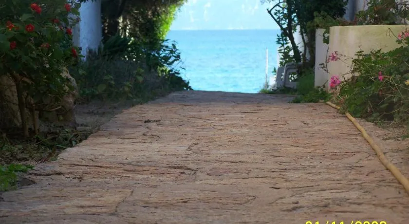 Bona Ciurrata - Image 1