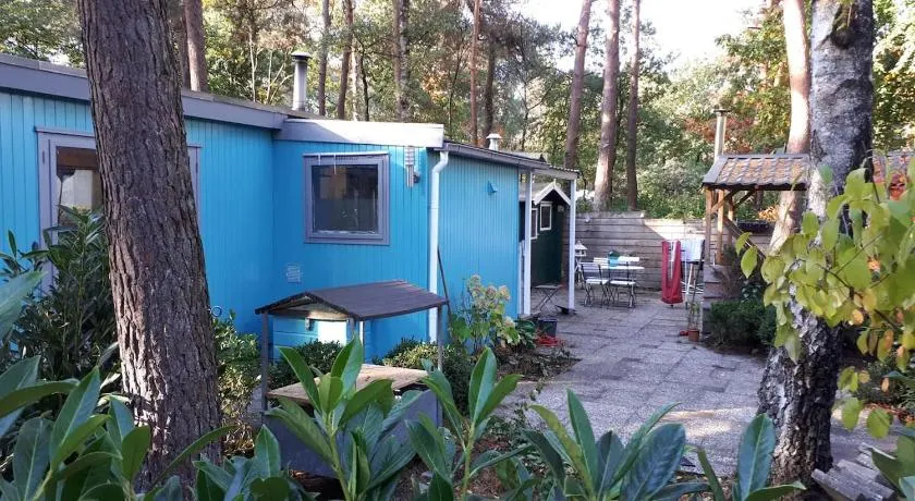 Boshuis Turquoise / smaakvol genieten op de Veluwe - Image 1