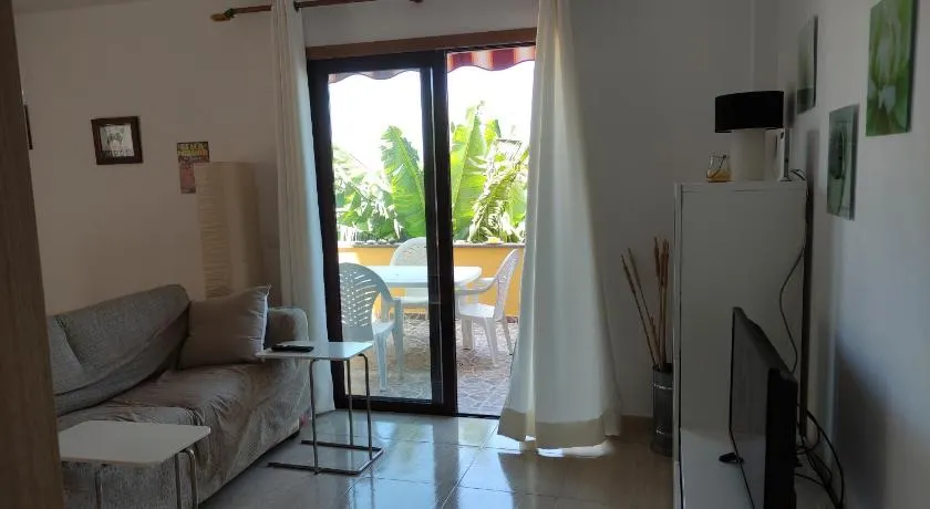 Palma Tellus - Image 1
