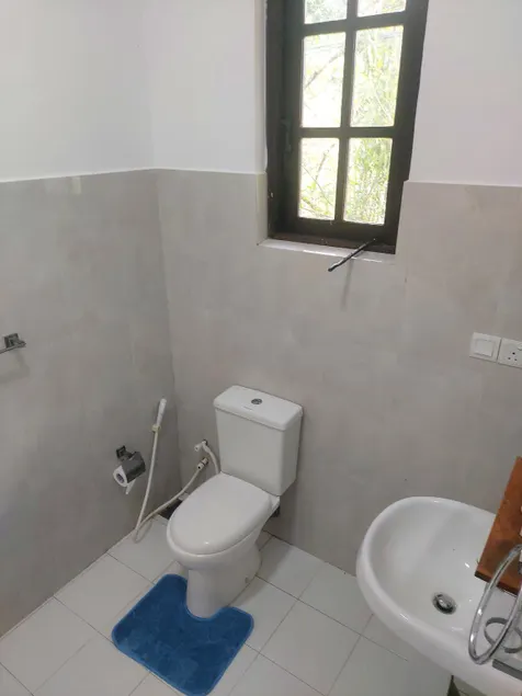 Nature bird paradise hotel - Image 1