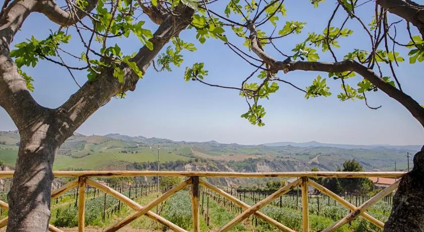 La Terrazza sul Vigneto - Image 1