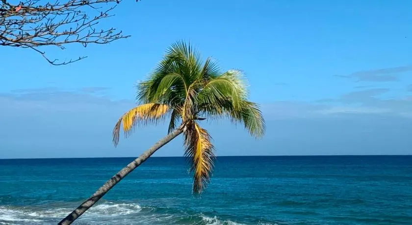 Atlantic Wave Villa - Image 1