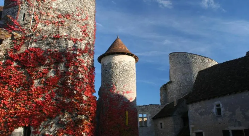 Chateau D'ingrandes - Image 1
