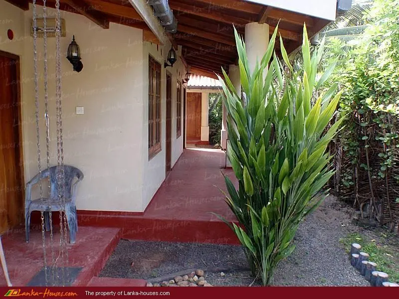 Amara Guest - Image 1