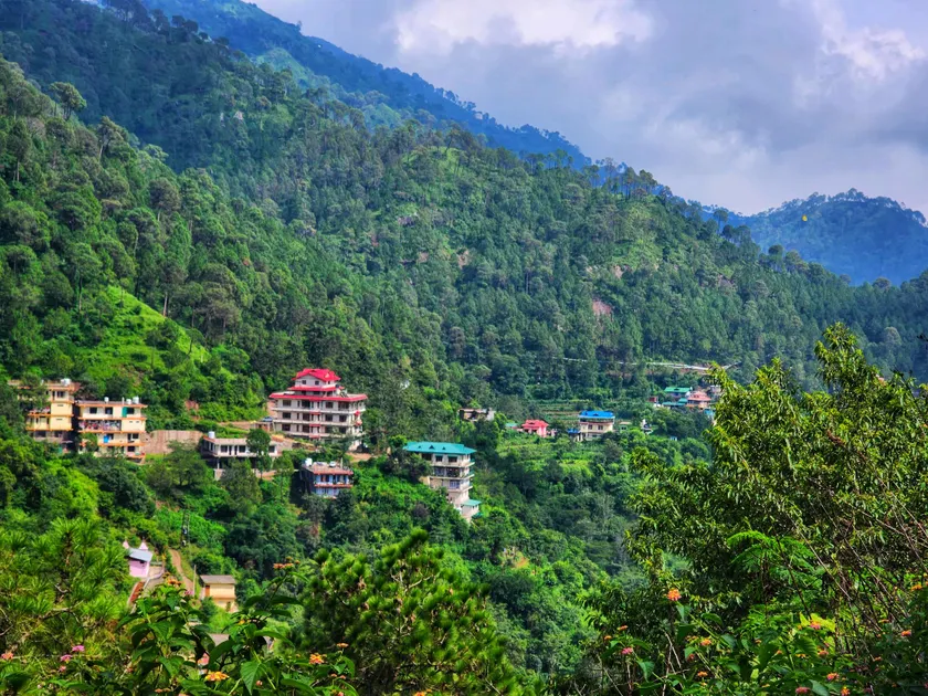Rashmi Cottage - A Scenic Mountain Home in Kasauli - Image 1