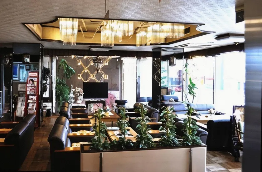 Hotel Los Inn Kochi - Image 1