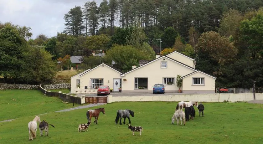 Muckross Riding Stables - Image 1