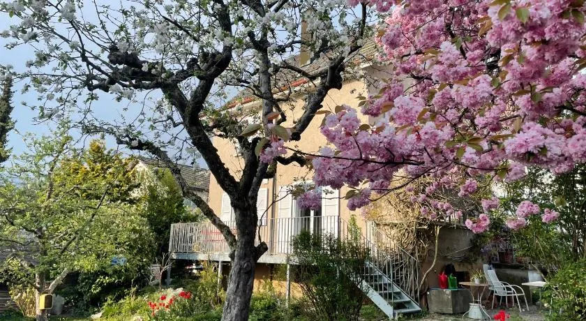 au jardin - Image 1