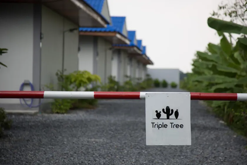 The Triple Tree Resort - Image 1