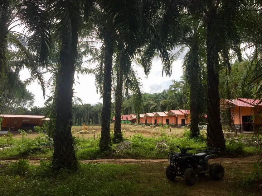Khao Sok Evergreen House - Image 1