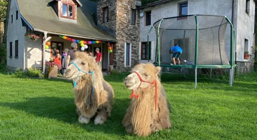 Chalupa u velbloudů Krkonoše - Image 1
