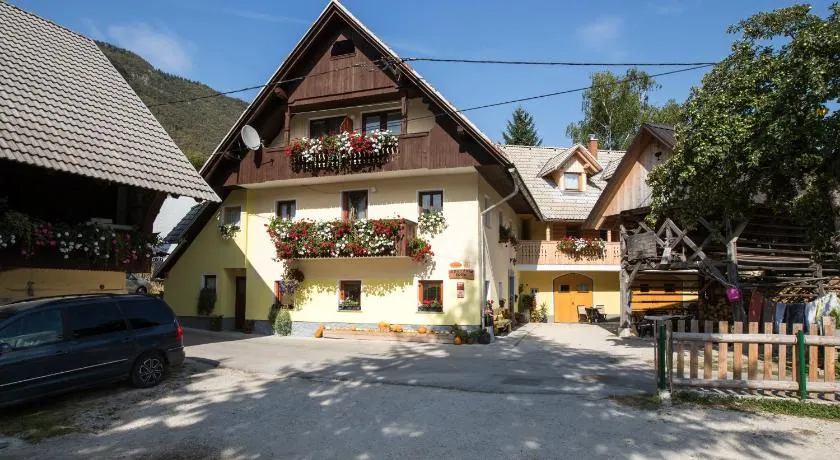 Farmhouse pri Miklavu - Image 1