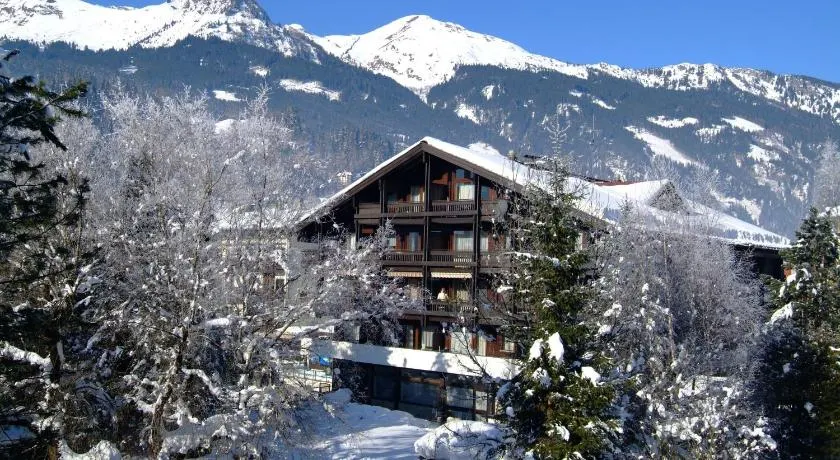 Appartementhaus Gastein inklusive Alpentherme gratis - Image 1