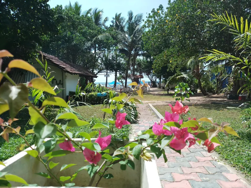 Turtle Bay Beach Resort - Image 1