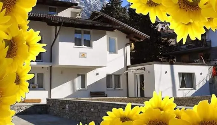 Il Girasole - Image 1