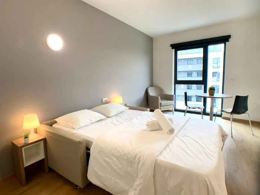 Cozy Studio. Open Space. Business / Leisure - Image 1