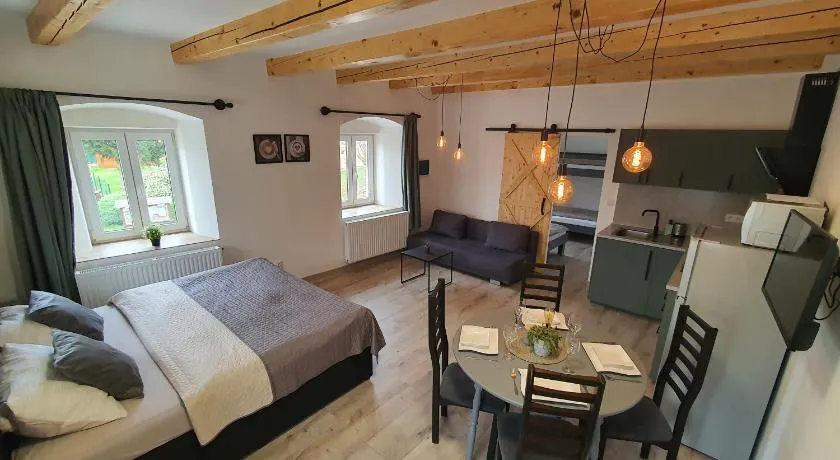 Apartmány ČERNÝ KOHOUT - Image 1