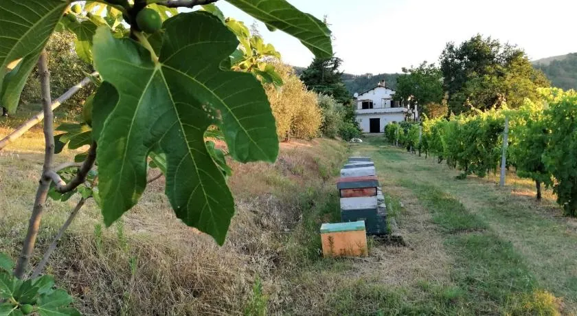 Naturaliterre Agriturismo - Microfattoria - Image 1