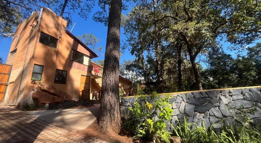 Bosque de Avandaro - Image 1