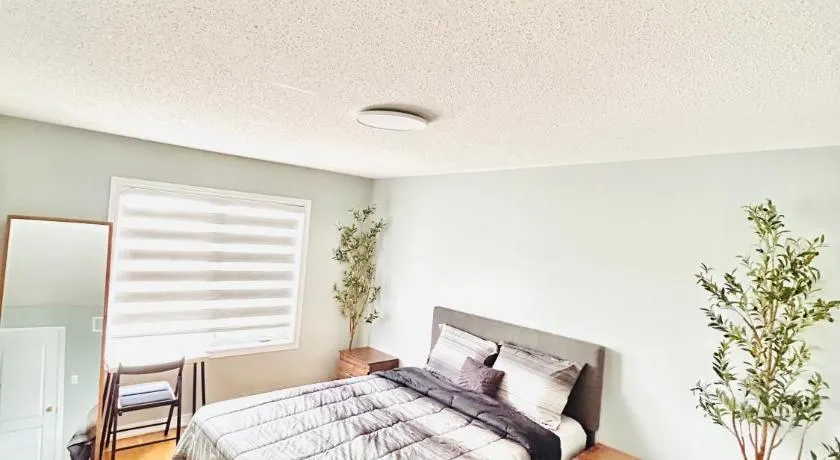 Luxury home Netflix & parking promo price with 7beds - Image 1