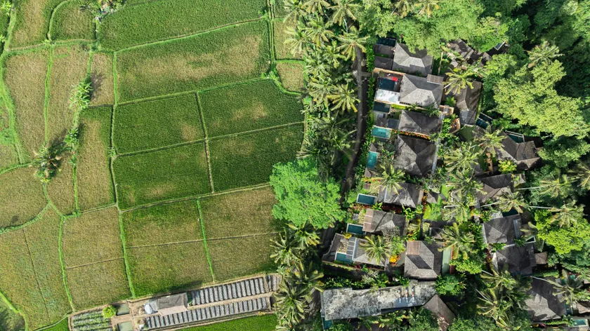 Temuku Ubud Villas - Image 1
