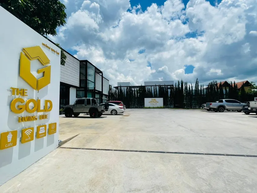 The Gold Living Life - Image 1