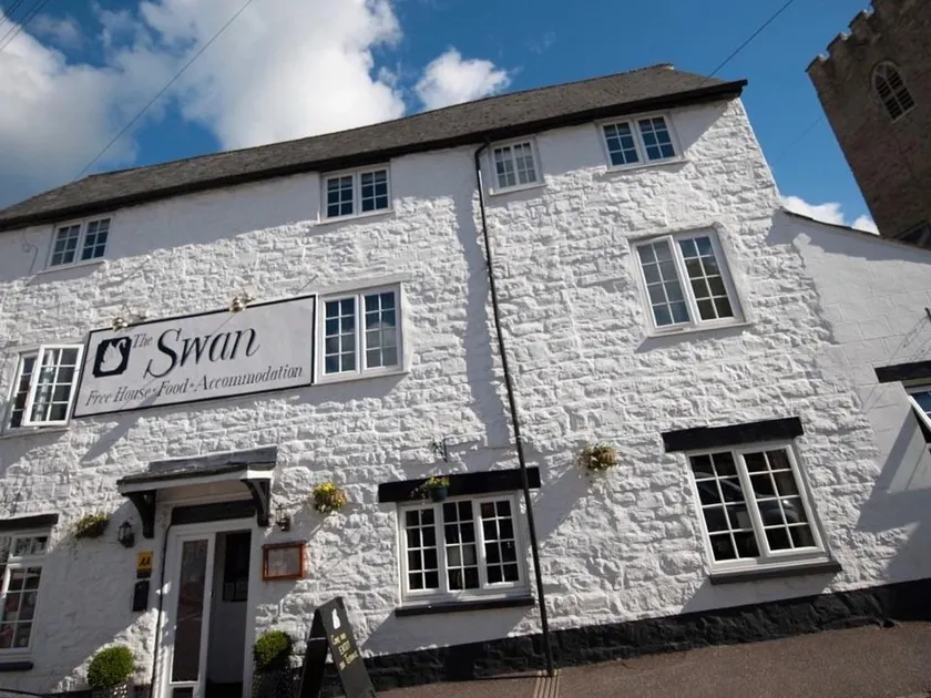The Swan - Image 1