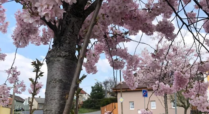 Apartmány na Vršku - Image 1