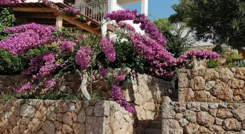 Apartmani Nila - Image 1