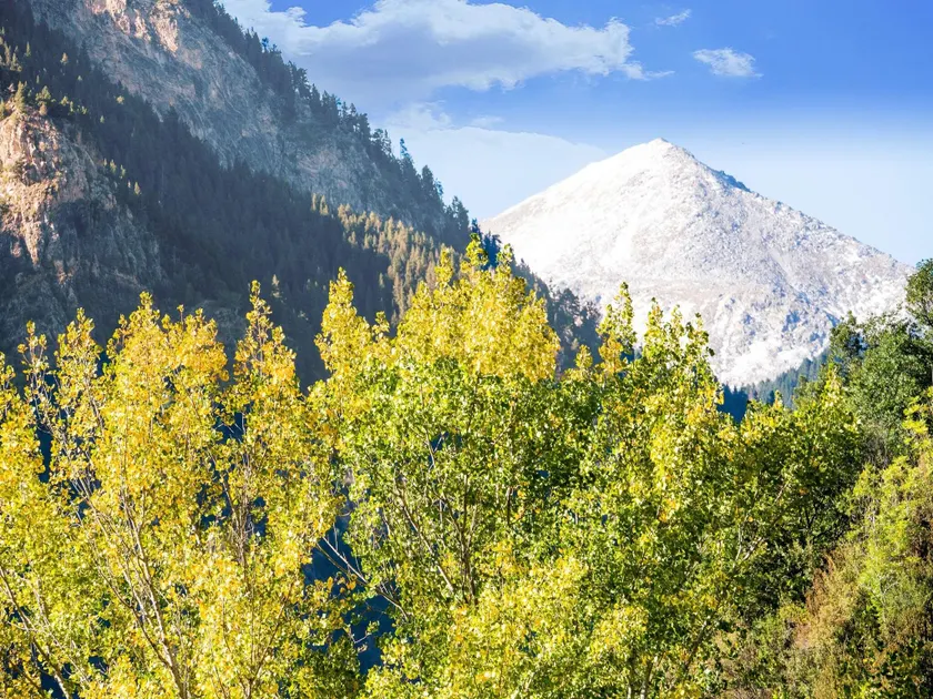 Cozy Pyrenees Getaway - Image 1