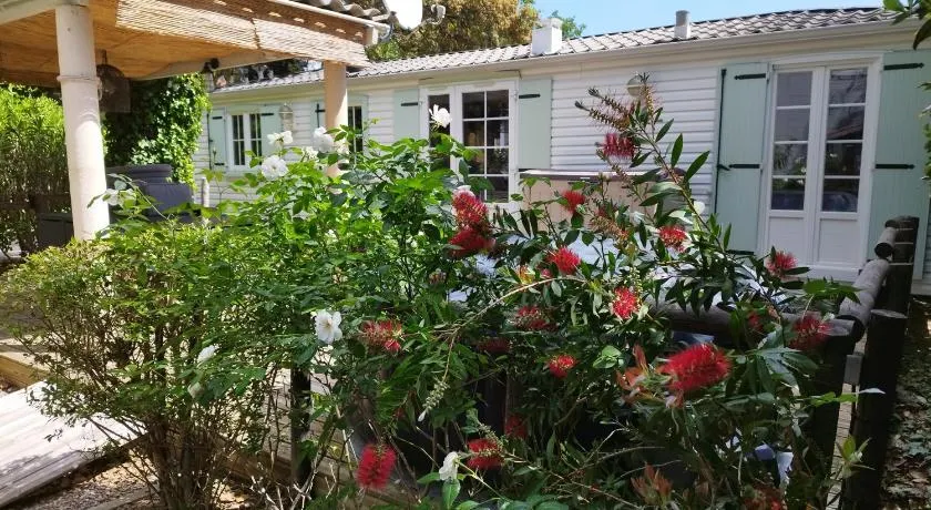 Bungalow avec terrasse, jacuzzi et jardin - Image 1