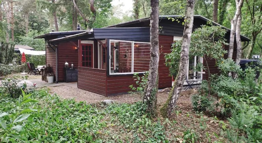 Bosbungalow de Eekhoorn - Image 1