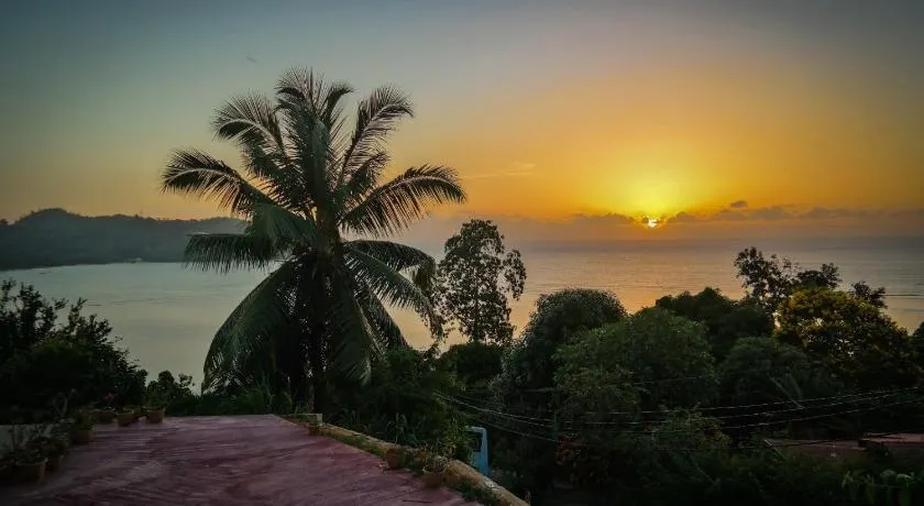 Horizon view - Image 1