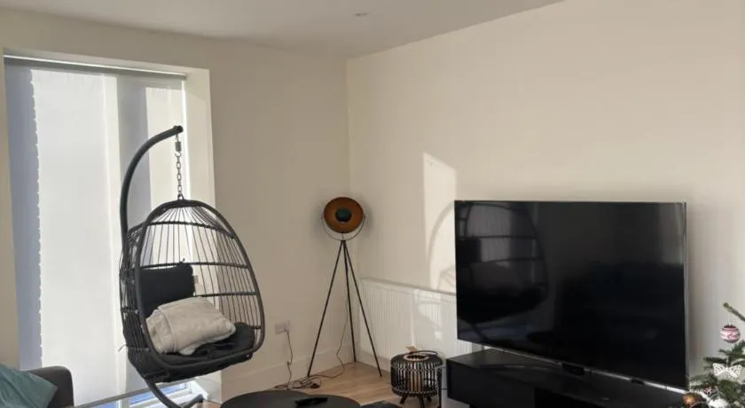 Modern-Spacious Dublin Apartment - Image 1